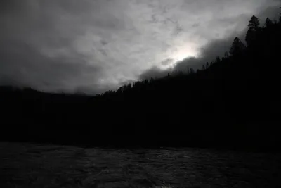 DSC_0170 (Large).JPG